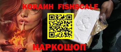 jwh Бийск