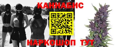 jwh Бийск