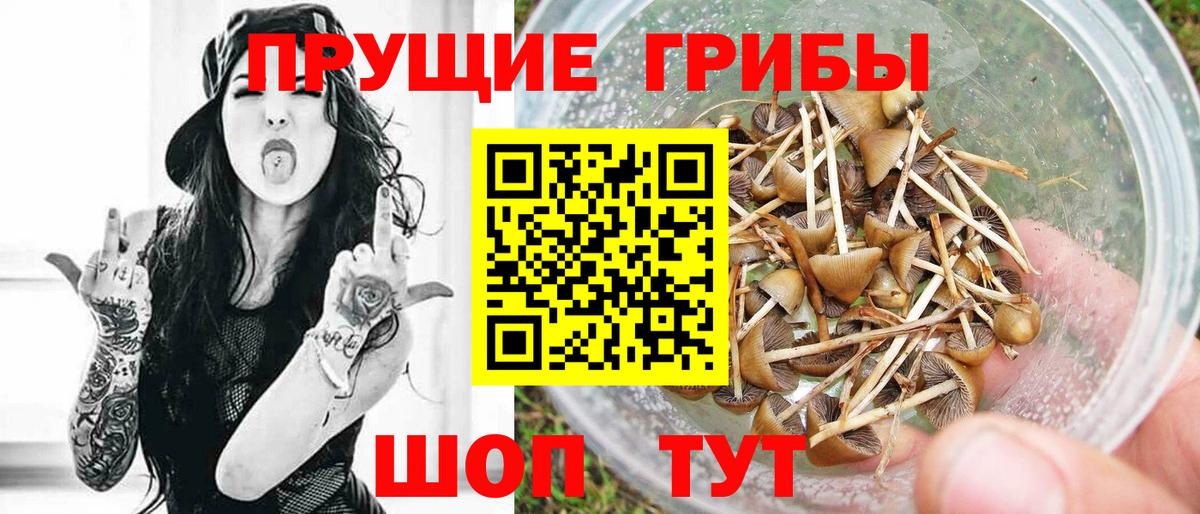 Галлюциногенные грибы Psilocybine cubensis  Псилоцибиновые грибы Cubensis  Вход с VPN  Гагарин 