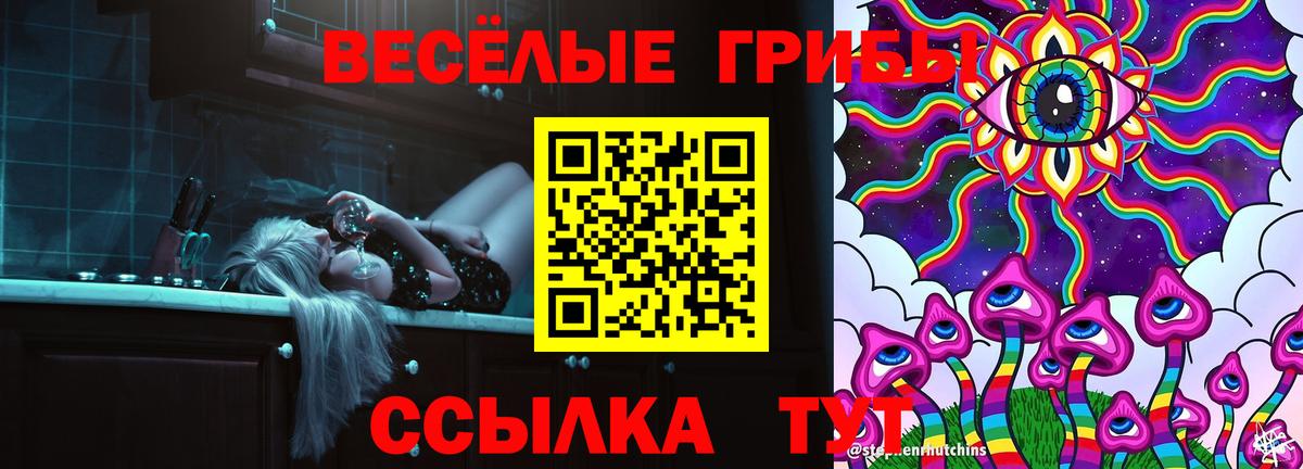 Псилоцибиновые грибы мухоморы Гагарин