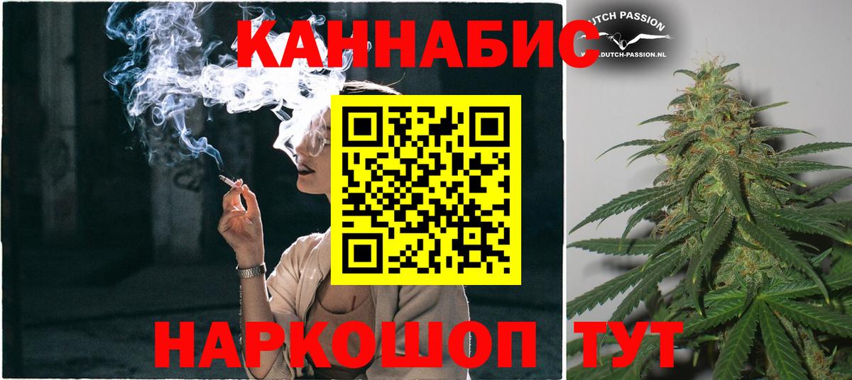Каннабис SATIVA & INDICA  Вход с VPN  Гагарин  Каннабис сатива  Каннабис White Widow 